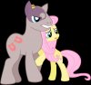 pony_minsc_and_flutterwitch_by_adcoon-d4axel2.jpg